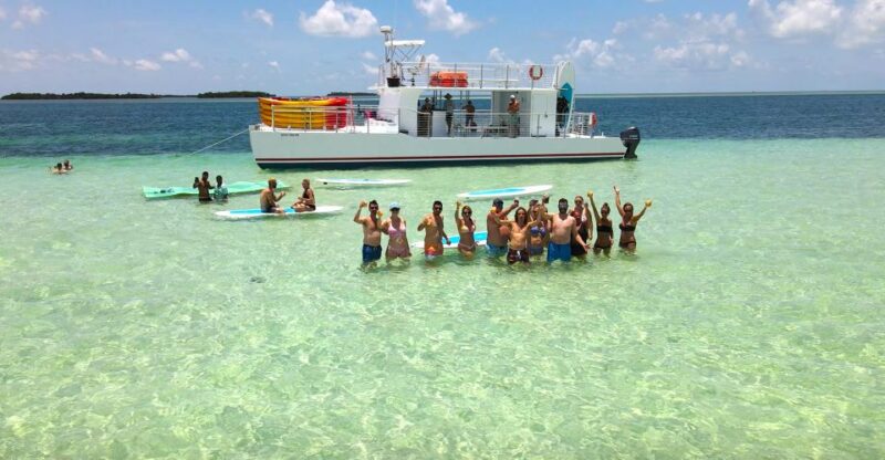 From Key West: Dolphin Watching Tour With Lunch & Drinks - Key Points