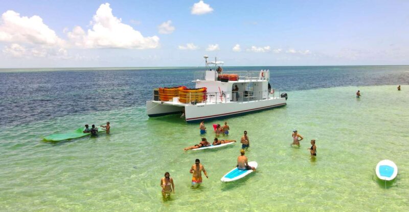 From Key West: Dolphin Watching Tour With Lunch & Drinks - Itinerary Highlights