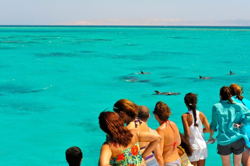 From Key West: Dolphin Watching Tour With Lunch & Drinks - Experience Details