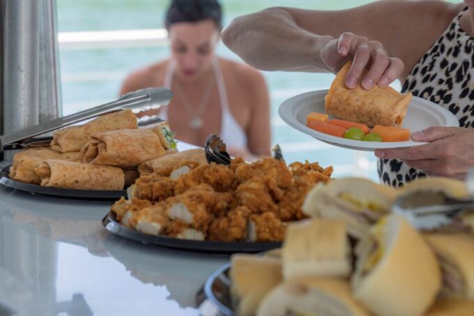 From Key West: Dolphin Watching Tour With Lunch & Drinks - Customer Reviews