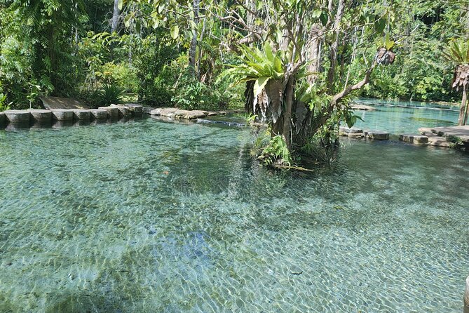 From Khao Lak : Cheow Lan Lake & Nam Rad Emerald Pool - Reviews and Ratings
