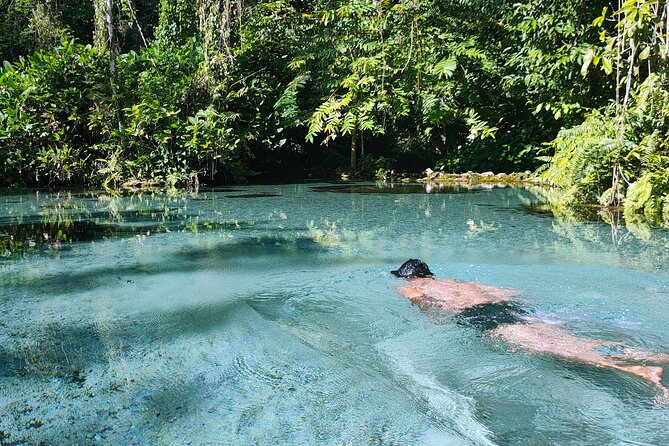 From Khao Lak : Cheow Lan Lake & Nam Rad Emerald Pool - Memorable Experiences