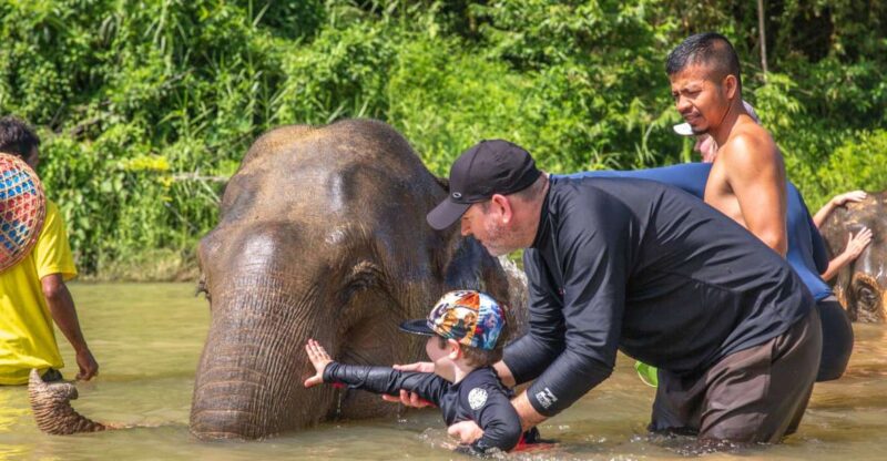 From Khao Lak: Day Trip to Khao Sok With Elephant Camp Visit - Key Points