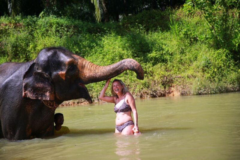 From Khao Lak: Day Trip to Khao Sok With Elephant Camp Visit - Itinerary Highlights