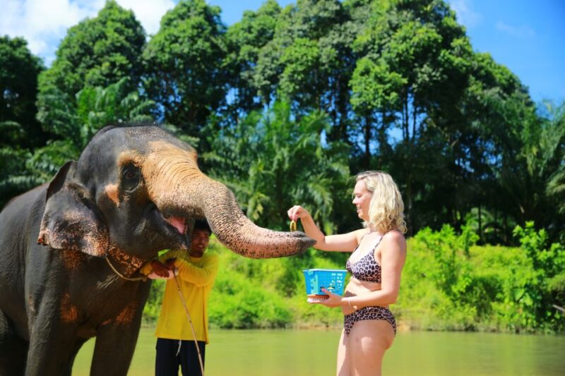 From Khao Lak: Day Trip to Khao Sok With Elephant Camp Visit - Cancellation Policy