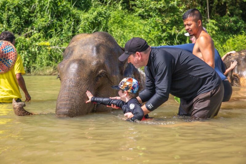 From Khao Lak: Day Trip to Khao Sok With Elephant Camp Visit - Booking Information