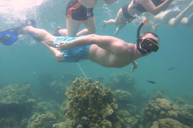 From Khao Lak : Full-Day Private Phi Phi Islands Speedboat Charter - Customer Feedback and Reviews