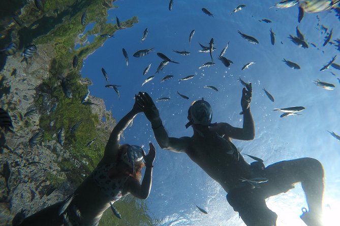 From Khao Lak : Full-Day Private Phi Phi Islands Speedboat Charter - Exploring the Phi Phi Islands