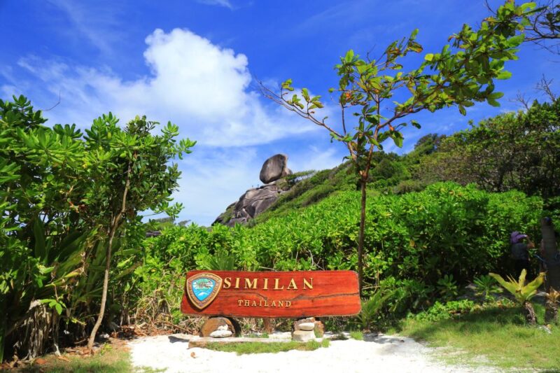 From Khao Lak: Full-Day Snorkeling in the Similan Islands - Key Points