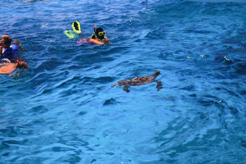 From Khao Lak: Full-Day Snorkeling in the Similan Islands - Included Amenities and Essentials