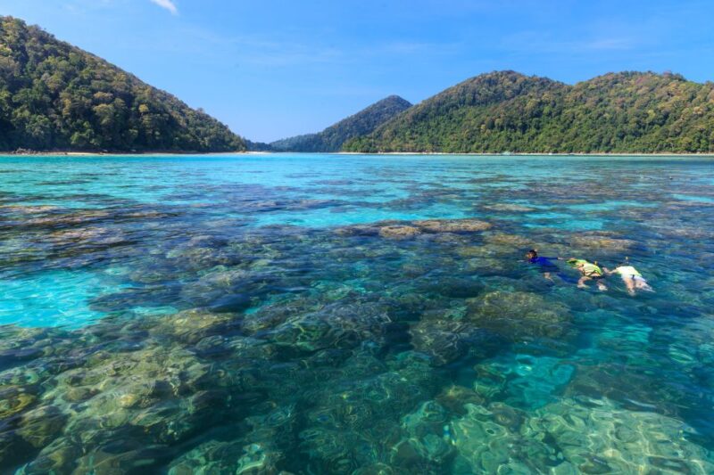 From Khao Lak: Full-Day Snorkeling in the Surin Islands - Experience Highlights
