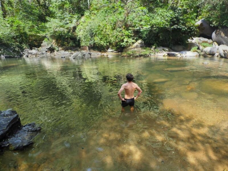 From Khao Lak: Khao Sok Jungle Hike & River Tour - Itinerary Highlights