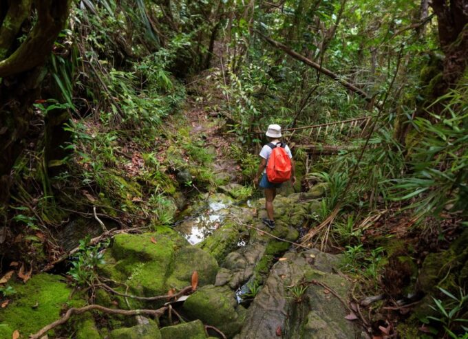 From Khao Lak: Khao Sok Jungle Hike & River Tour - What to Bring