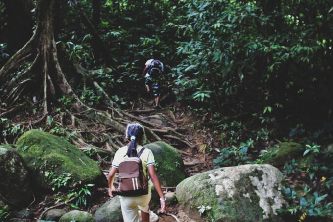 From Khao Lak: Khao Sok Jungle Hike & River Tour - Frequently Asked Questions