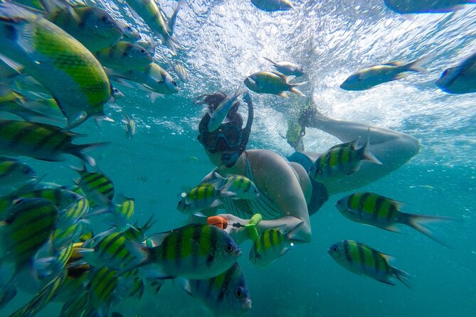 From Khao Lak or Khok Kloi : Phi Phi Islands Adventure Day Trip With Lunch - Itinerary and Activities