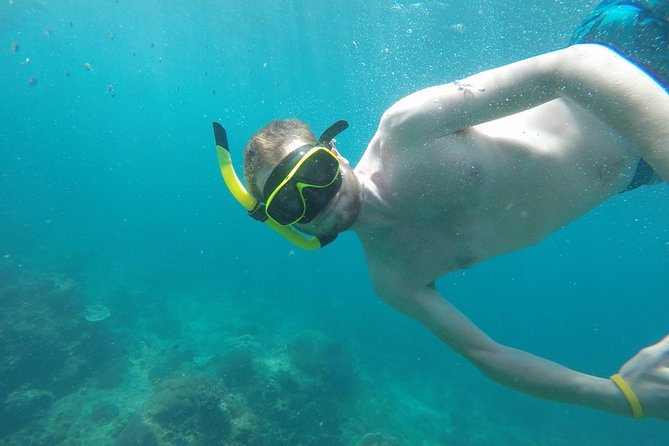 From Khao Lak or Khok Kloi : Phi Phi Islands Adventure Day Trip With Lunch - Important Information