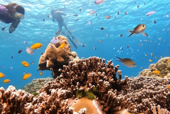 From Khao Lak & Phuket: Similan Islands Snorkeling Day Trip - Itinerary Modifications