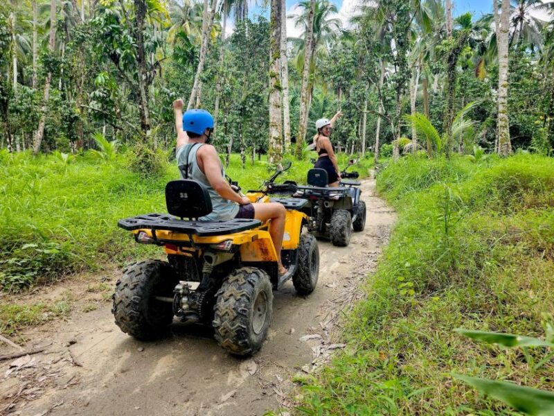 From Khao Lak: Private Day Tour With Rafting, ATV and Turtle - Included Activities