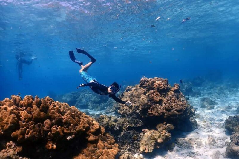 From Khao Lak: Racha Islands Day Tour with Snorkel & Lunch - Final Snorkel and the Dolphin Opportunity