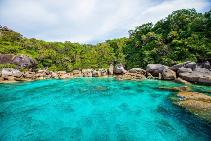 From Khao Lak: Similan Islands Snorkeling Trip With Lunch - Customer Feedback and Ratings