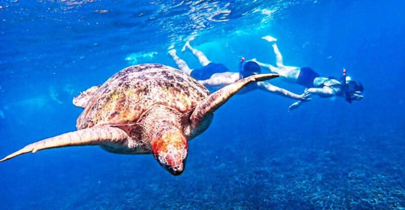 From Khao Lak: Surin Islands Snorkeling Tour W/ Meals - Inclusions
