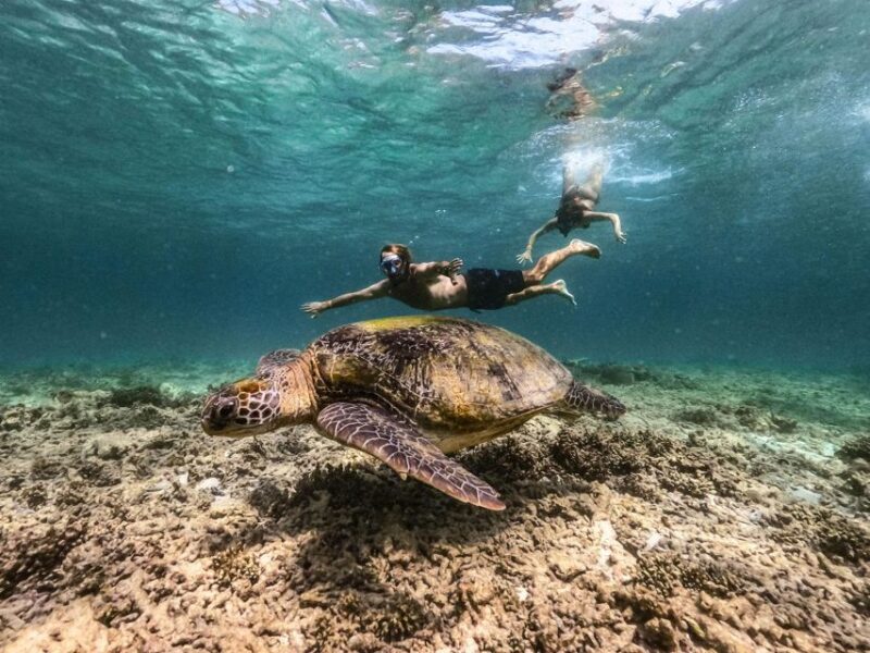 From Khao Lak: Surin Islands Snorkeling Tour W/ Meals - Important Information