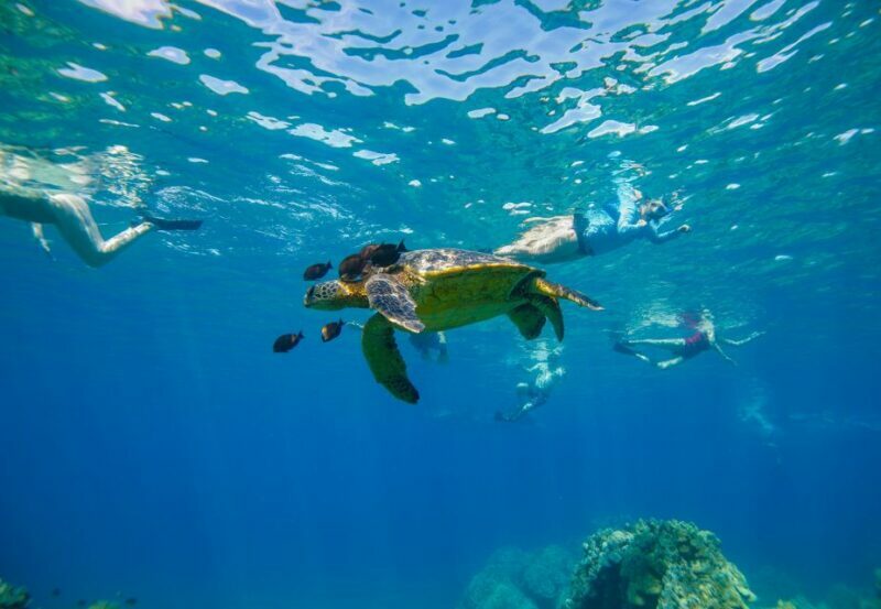 From Kihei: Molokini Snorkel 2-Hour Adventure - Getting to Know the Tour and Its Setting