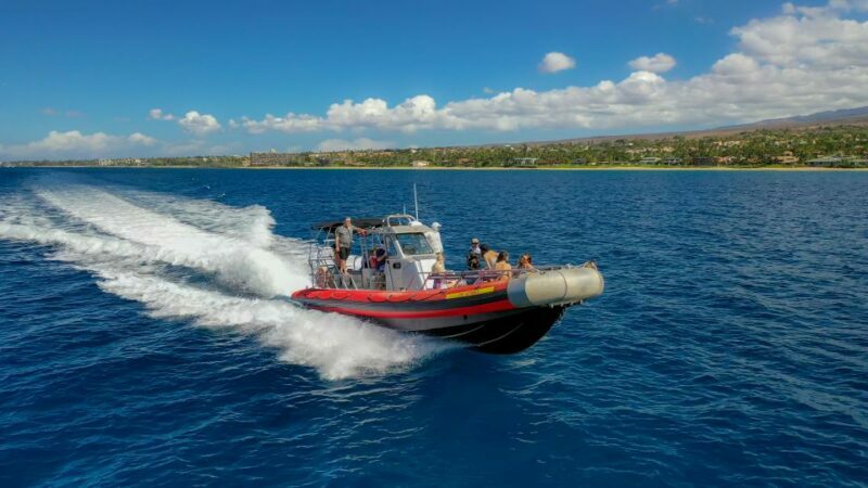 From Kihei: Molokini Snorkel 2-Hour Adventure - Whale Watching – A Bonus Surprise
