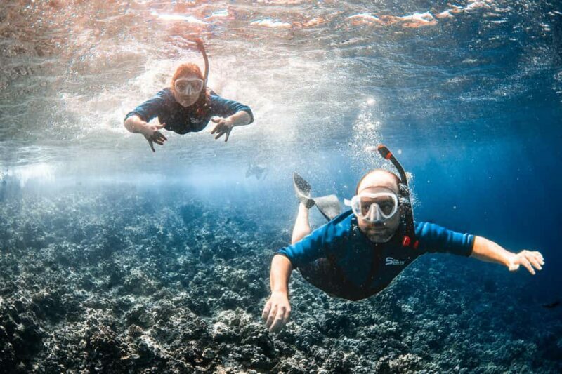 From Kihei: Molokini Snorkel 2-Hour Adventure - The Crew and Customer Experience