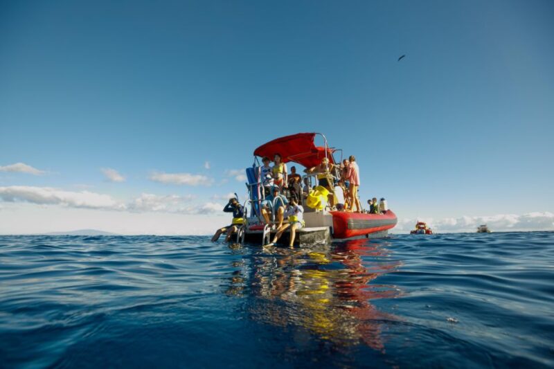 From Kihei: Molokini Snorkeling Adventure Tour - Customer Reviews and Feedback