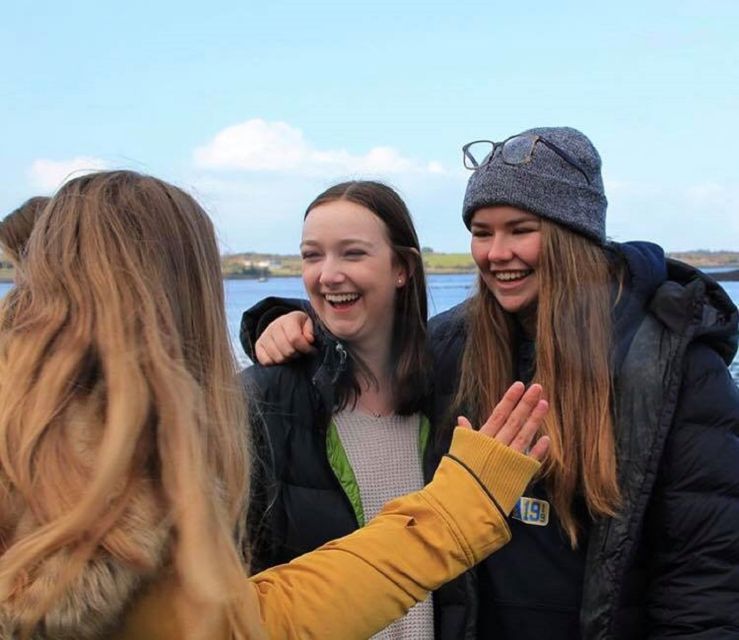 From Killarney: Day Trip to Dingle - Itinerary Highlights