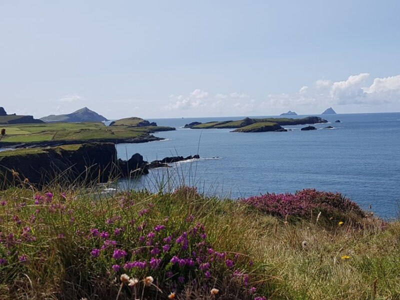 From Killarney: Ring of Kerry Mountain Road 1-Day Bus Tour - Customer Reviews and Feedback