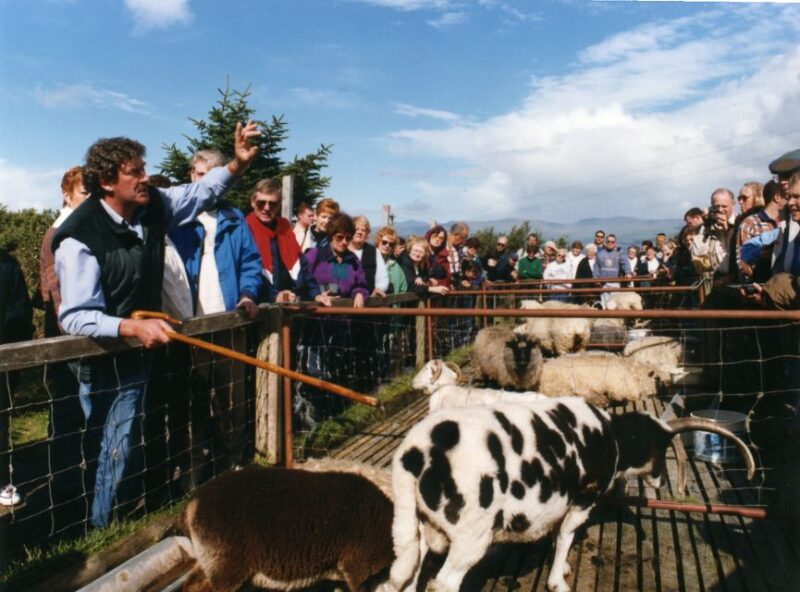 From Killarney: Ring of Kerry Mountain Road 1-Day Bus Tour - Tour Route and Stops