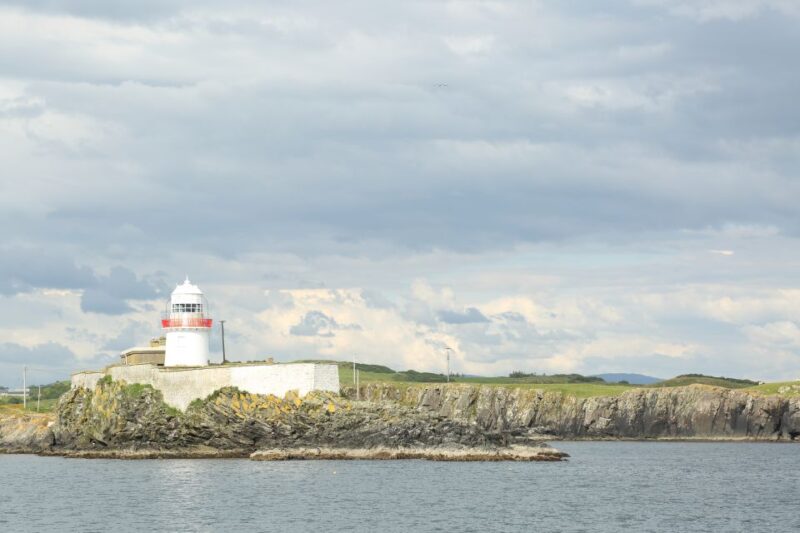 From Killybegs: Sliabh Liag Cliffs Coastal Boat Tour - Wildlife Spotting Opportunities