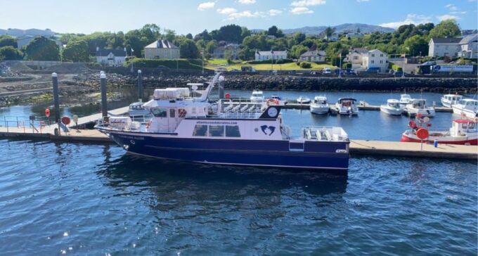 From Killybegs: Sliabh Liag Cliffs Coastal Boat Tour - Meeting Point and Arrival