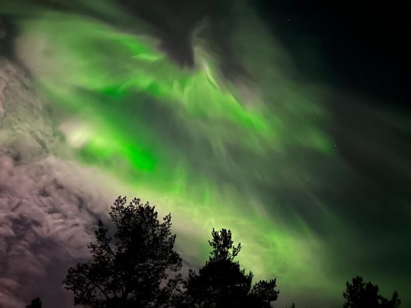 From Kiruna: Abisko National Park Northern Lights Tour - Good To Know