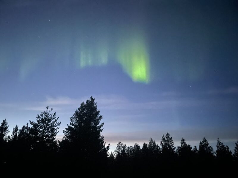 From Kiruna: Abisko National Park Northern Lights Tour - Transportation Details
