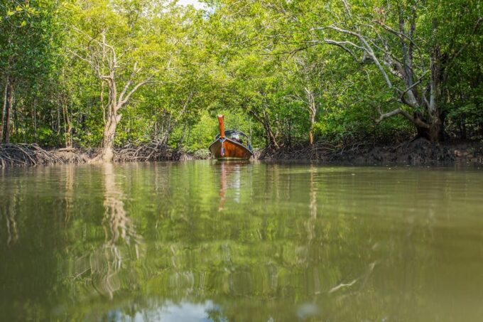 From Ko Lanta: Mangrove Eco-Excursion by Longtail Boat - Getting to Tung Yee Peng