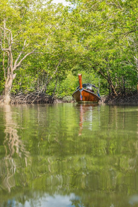 From Ko Lanta: Mangrove Eco-Excursion by Longtail Boat - Frequently Asked Questions