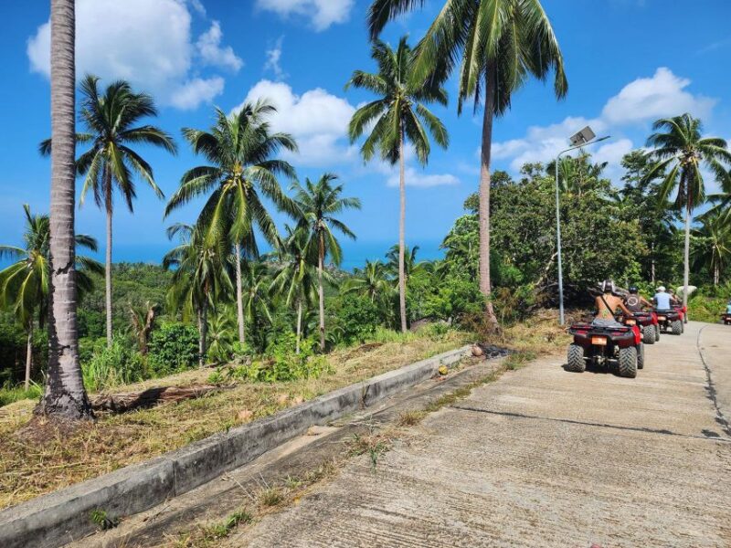 From Ko Pha Ngan: ATV Jungle Adventure Experience - Tour Experience