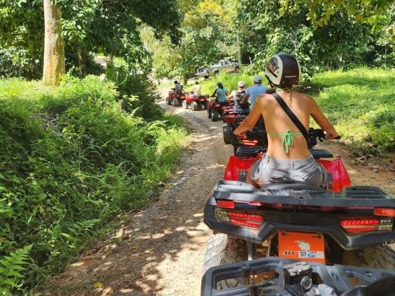 From Ko Pha Ngan: ATV Jungle Adventure Experience - Safety and Guidelines
