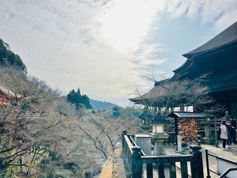 From Kobe: Kyoto Nara Private Day Tour Luxury Vehicle - Key Points