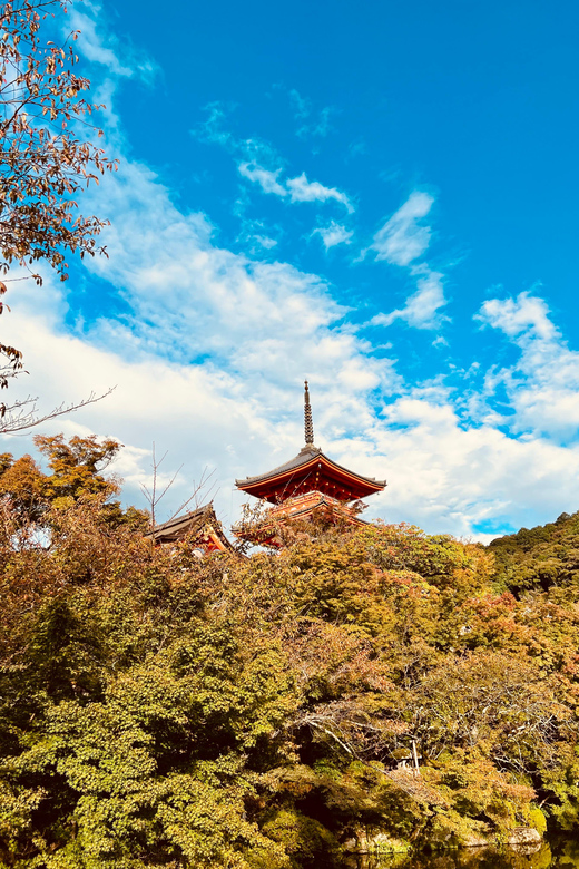 From Kobe: Kyoto Nara Private Day Tour Luxury Vehicle - Kiyomizu-dera Temple