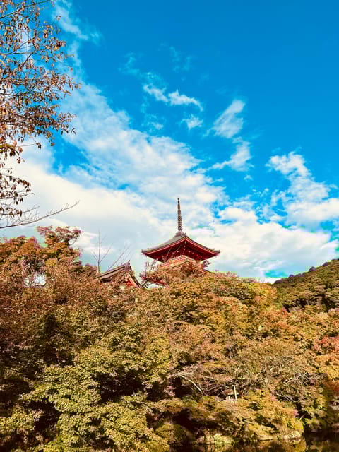 From Kobe: Kyoto Nara Private Day Tour Luxury Vehicle - Lunch at Local Restaurant