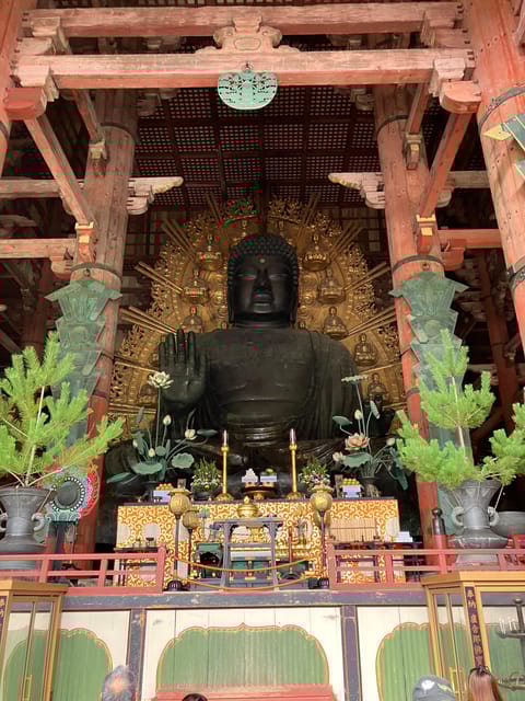 From Kobe: Nara Classic Private Tour With Car Pickup - Itinerary Highlights