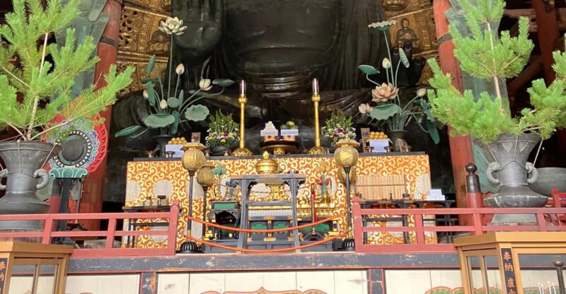 From Kobe: Nara Classic Private Tour With Car Pickup - Important Information