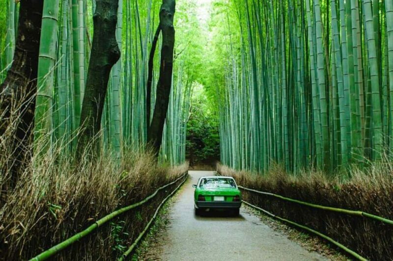 From Kobe/Osaka: Kyoto Full-Day Guided Tour with Vehicle - Key Points