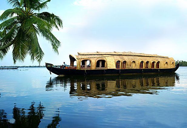 From Kochi: 1 Night Alappuzha Backwaters Houseboat Cruise - Inclusions and Amenities