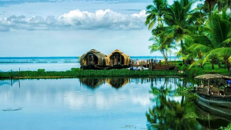 From Kochi: 7-Day Kerala Tour Package With Accommodation - Itinerary Highlights