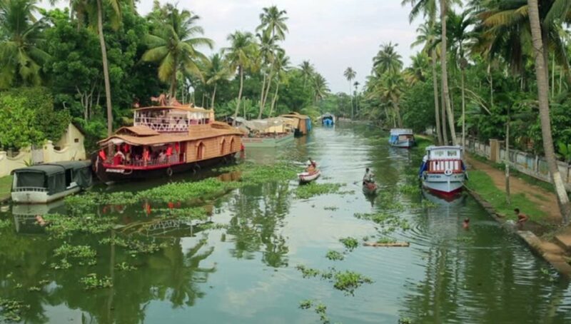 From Kochi: 7-Day Kerala Tour Package With Accommodation - Accommodation and Inclusions